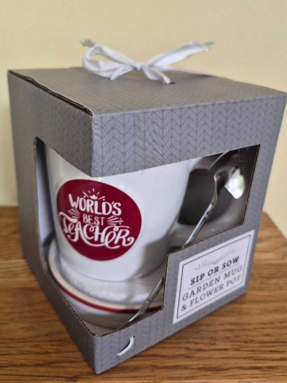 NEW--Teacher Sip or Sow Garden Mug & Flower Pot